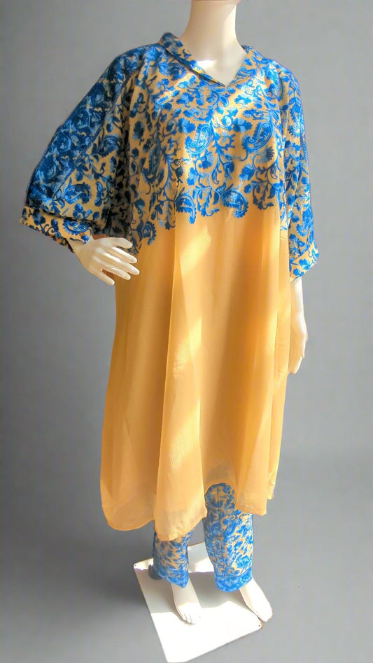 Ariwork Kashmiri Dress
